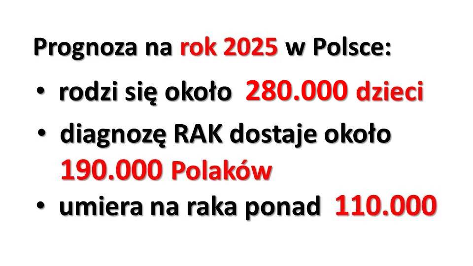 Prognoza_2025.jpg